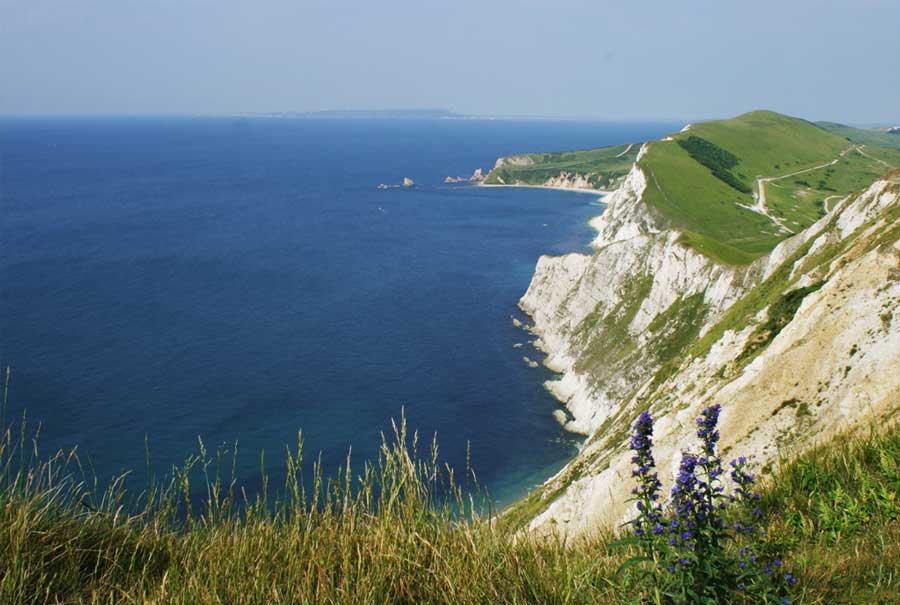 Coastal view from Flower's Barrow