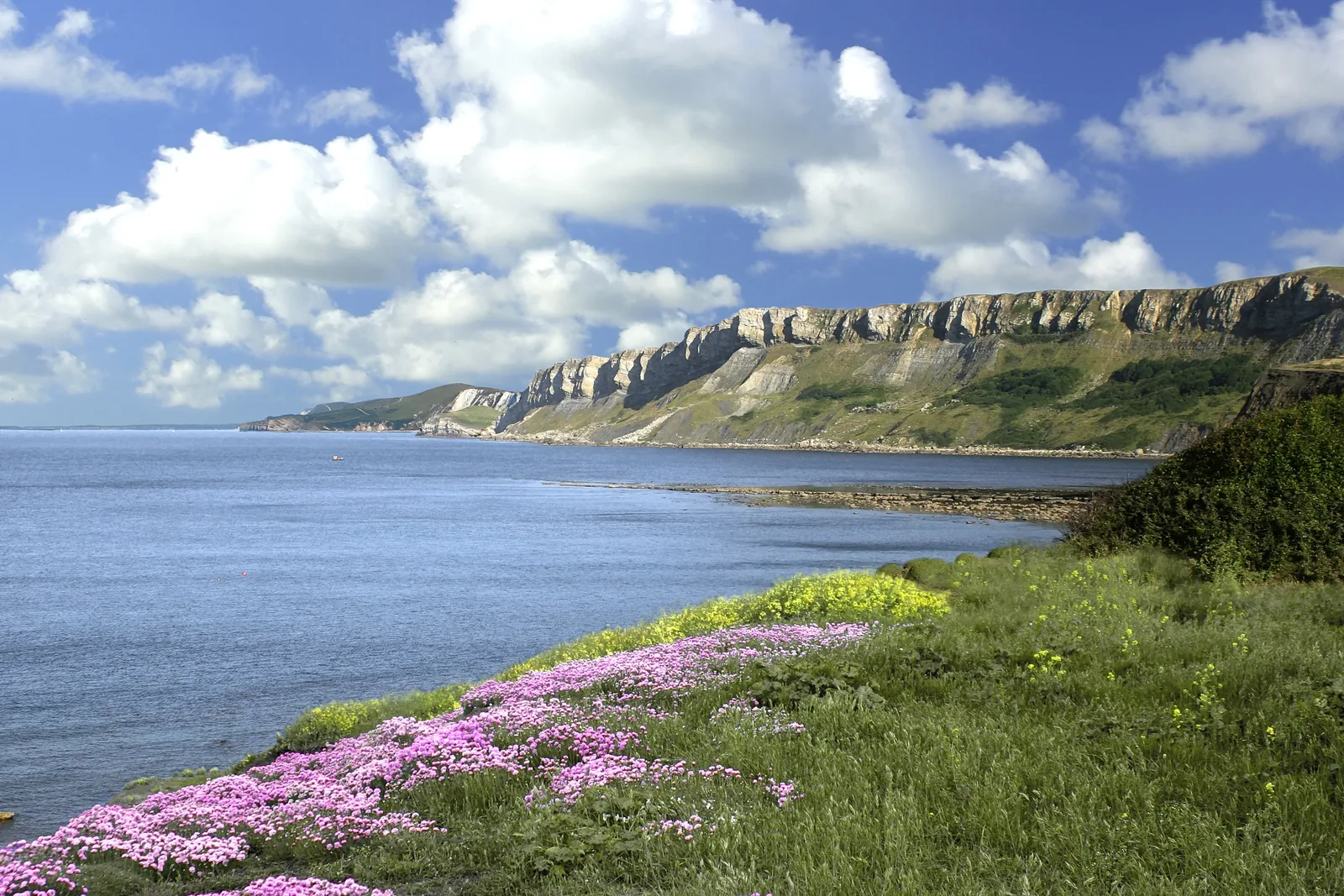 View west from Kimmeridge towards Gad Cliff and the Lulworth ranges