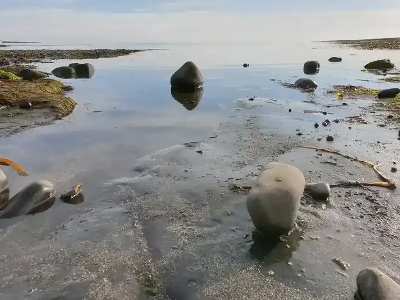 Rock pools at low tide in Kimmeridge Bay