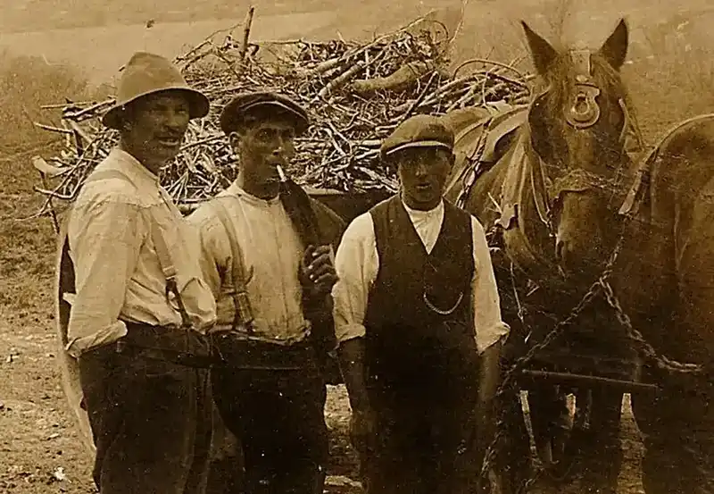 Percy Holland with farm horses at Tyneham